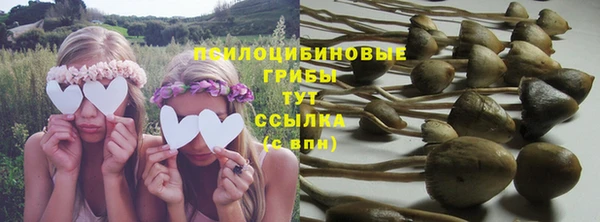 меф Богородицк